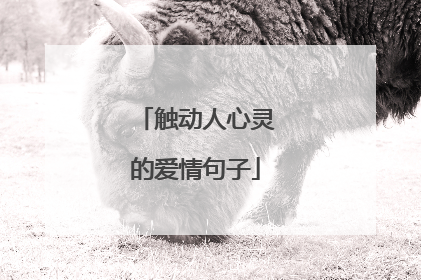 触动人心灵的爱情句子