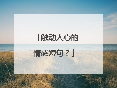 触动人心的情感短句？