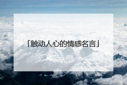 触动人心的情感名言