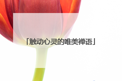 触动心灵的唯美禅语