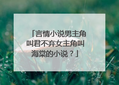 言情小说男主角叫君不弃女主角叫海棠的小说?
