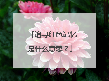 追寻红色记忆是什么意思？