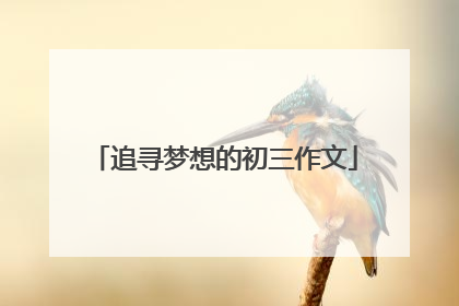 追寻梦想的初三作文