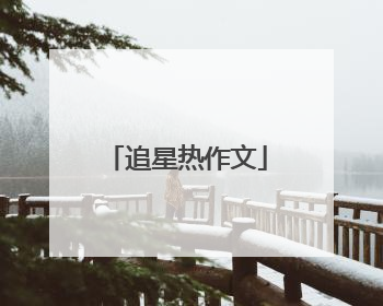 追星热作文