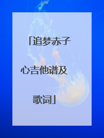 追梦赤子心吉他谱及歌词