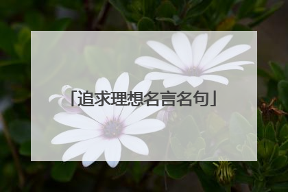 追求理想名言名句