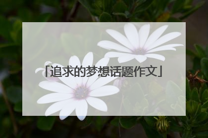 追求的梦想话题作文