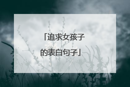 追求女孩子的表白句子