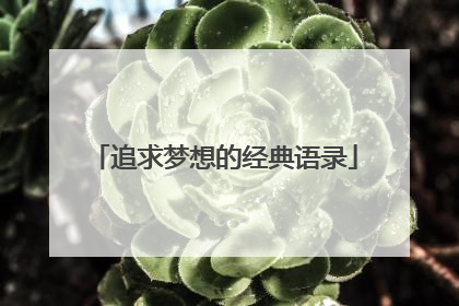 追求梦想的经典语录