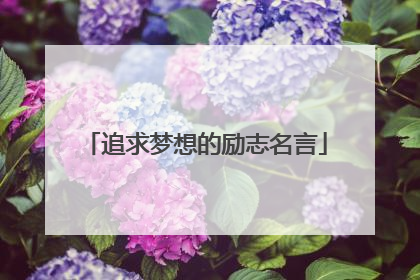 追求梦想的励志名言