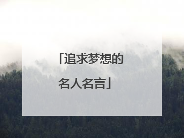 追求梦想的名人名言