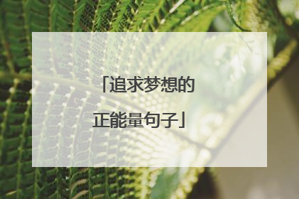追求梦想的正能量句子