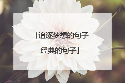 追逐梦想的句子_经典的句子