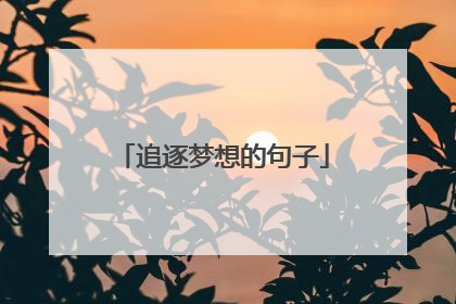 追逐梦想的句子