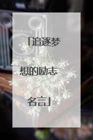 追逐梦想的励志名言