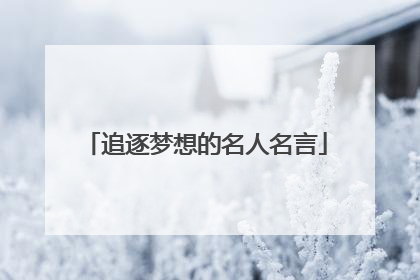 追逐梦想的名人名言