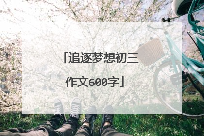 追逐梦想初三作文600字