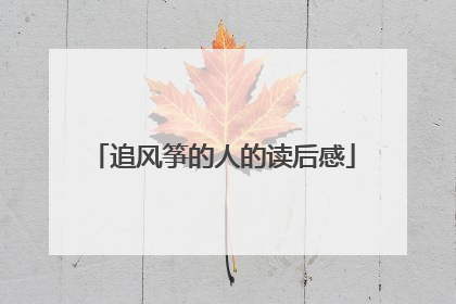 追风筝的人的读后感