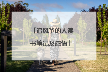 追风筝的人读书笔记及感悟