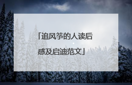 追风筝的人读后感及启迪范文