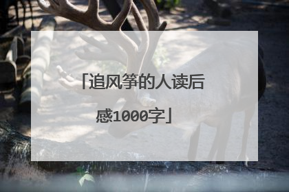 追风筝的人读后感1000字