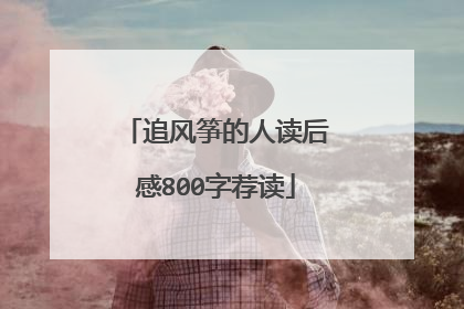 追风筝的人读后感800字荐读