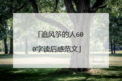 追风筝的人600字读后感范文