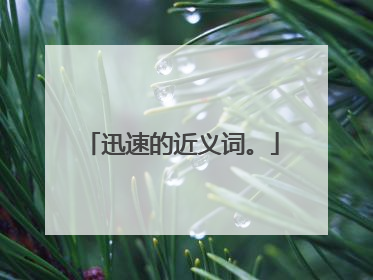 迅速的近义词。