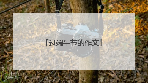 过端午节的作文
