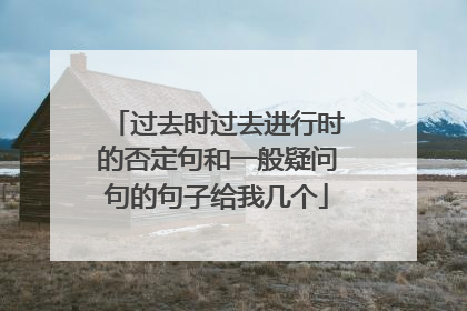 过去时过去进行时的否定句和一般疑问句的句子给我几个
