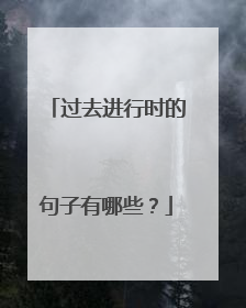 过去进行时的句子有哪些?