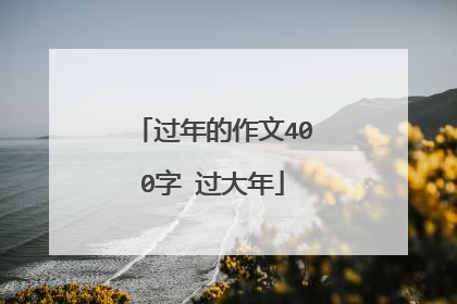 过年的作文400字 过大年