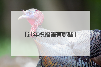 过年祝福语有哪些