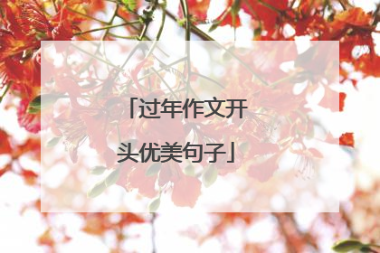 过年作文开头优美句子