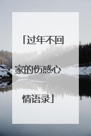 过年不回家的伤感心情语录
