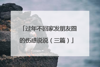 过年不回家发朋友圈的伤感说说(三篇)