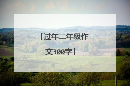 过年二年级作文300字