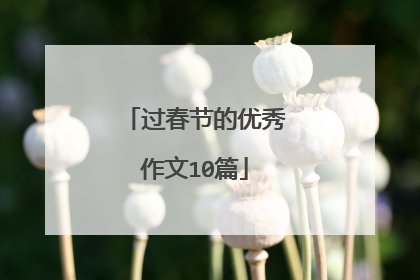 过春节的优秀作文10篇