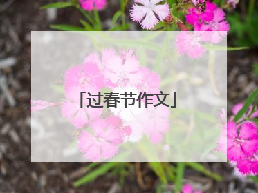 过春节作文