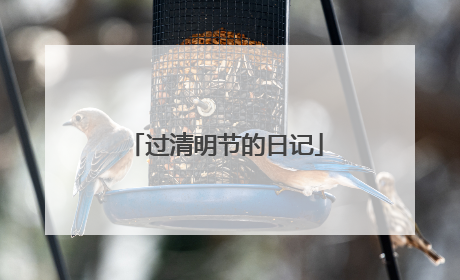 过清明节的日记