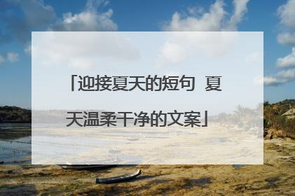 迎接夏天的短句 夏天温柔干净的文案