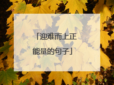 迎难而上正能量的句子