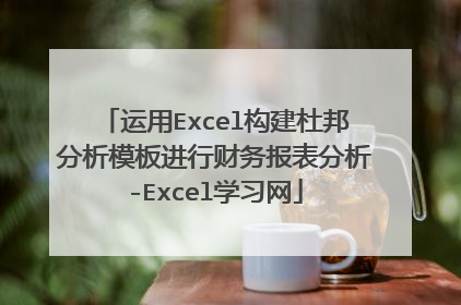 运用Excel构建杜邦分析模板进行财务报表分析-Excel学习网
