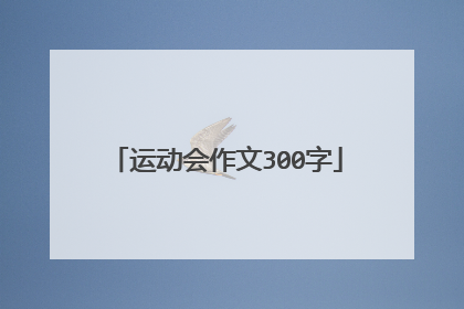 运动会作文300字