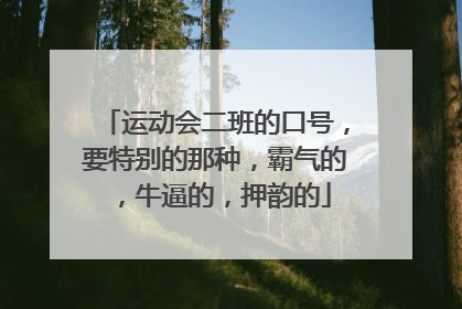 运动会二班的口号,要特别的那种,霸气的,牛逼的,押韵的
