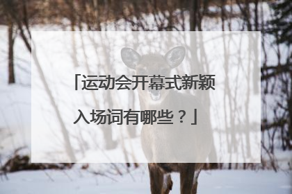 运动会开幕式新颖入场词有哪些？