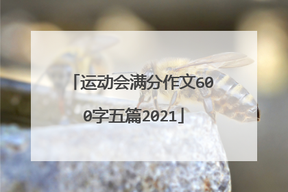 运动会满分作文600字五篇2021
