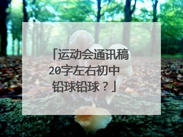 运动会通讯稿20字左右初中铅球铅球？