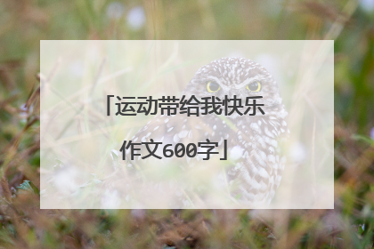 运动带给我快乐作文600字