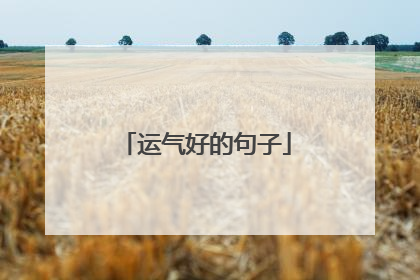 运气好的句子